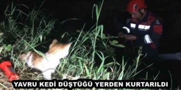 yavru_kedi_dustugu_yerden_kurtarildi_h47922_d4527