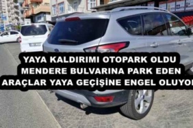 yaya_kaldirimi_otopark_oldu_mendere_bulvarina_park_eden_araclar_yaya_gecisine_engel_oluyor_h53670_ccf22