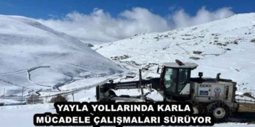 yayla_yollarinda_karla_mucadele_calismalari_suruyor_h49689_04741