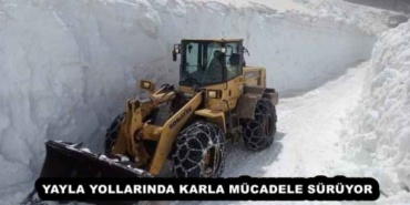 yayla_yollarinda_karla_mucadele_suruyor_h53600_cebe5