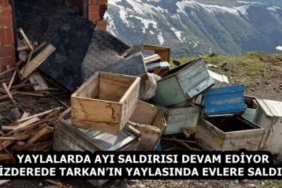yaylalarda_ayi_saldirisi_devam_ediyor_ikizderede_tarkanin_yaylasinda_evlere_saldirdi_h58750_7e618