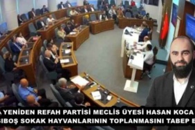 yeniden_refah_partisi_meclis_uyesihasan_koca_basibos_sokak_hayvanlarinin_toplanmasini_tabep_etti_h47717_56ed3