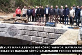 yesilyurt_mahallesinde_dsi_kopru_yapiyor_kaymakam_ve_belediye_baskani_kopru_calismasini_yerinde_gordu_h52718_70846