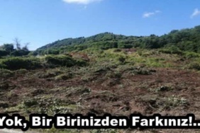 yok_bir_birinizden_farkiniz_h48470_da4a7