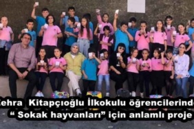 zehra_kitapcioglu_ilkokulu_ogrencilerinden_sokak_hayvanlari_icin_anlamli_proje_h49362_16f8e