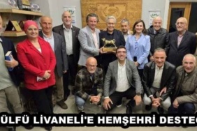 zulfu_livaneli_e_hemsehri_destegi_h49608_9472e